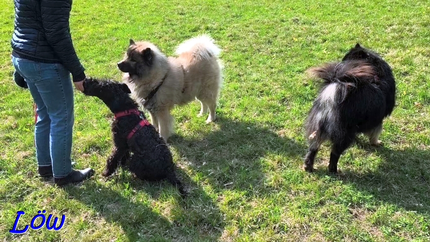 8.4.2025 - Sch&uuml;ler-Belohnung